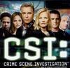 C.S.I. Las Vegas